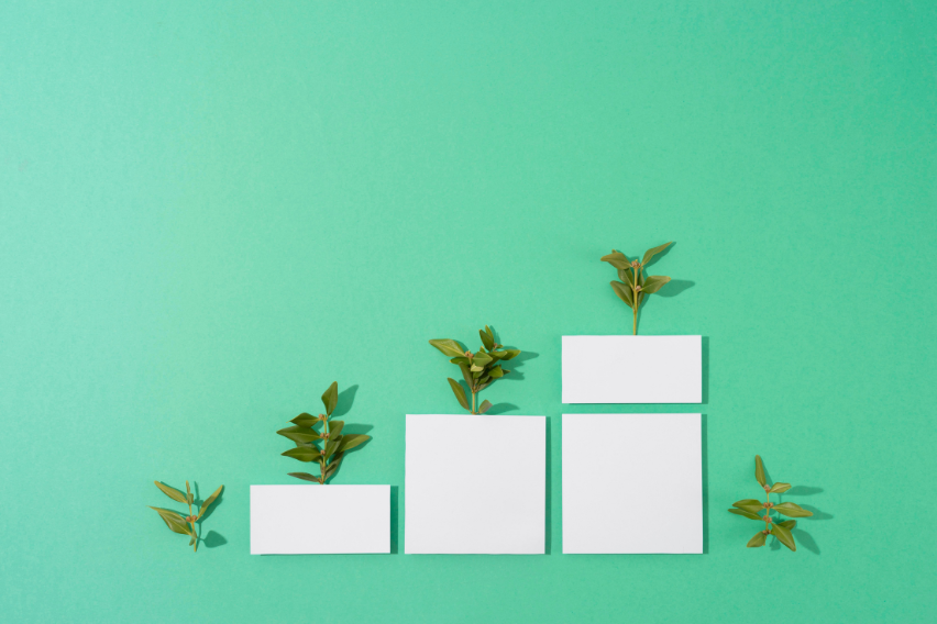 fondo verde con gráficas y unos brotes que significan crecimiento