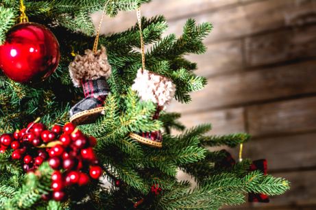 The decorations that cannot be missing on your Christmas tree